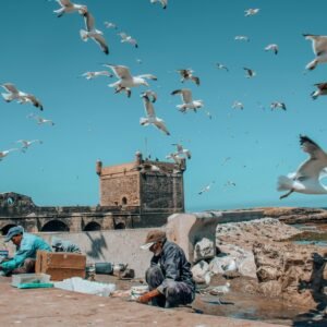 Day Trip to Essaouira from Marrakech