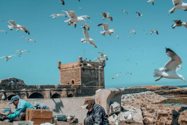 Day Trip to Essaouira from Marrakech